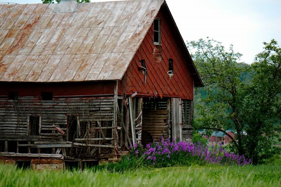 Summer road trip, Sauk County, Wisconsin